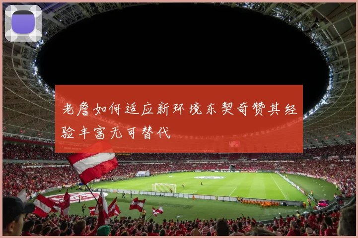 老詹如何适应新环境东契奇赞其经验丰富无可替代