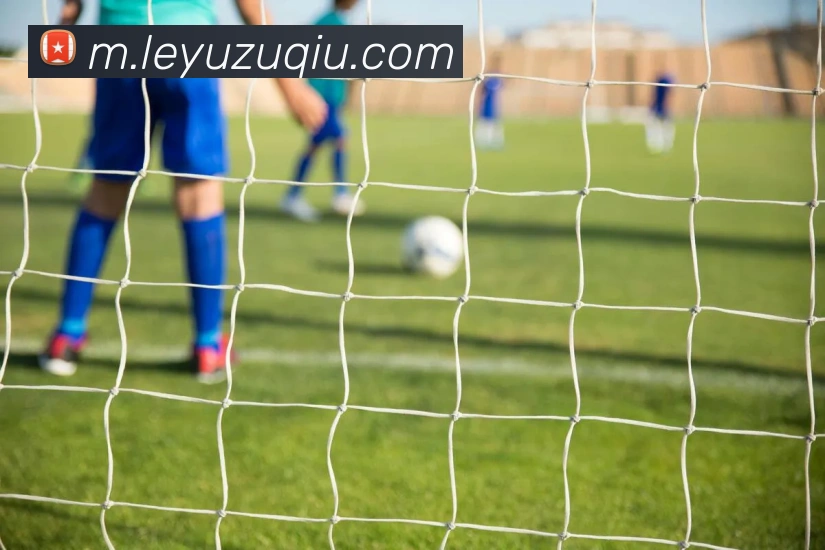 乐鱼足球APP 高清赛事图